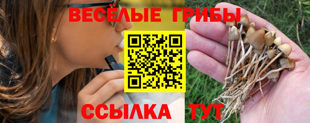 Галлюциногенные грибы GOLDEN TEACHER Владивосток